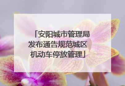 安阳城市管理局发布通告规范城区机动车停放管理
