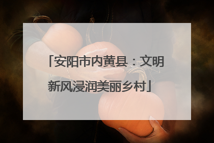 安阳市内黄县:文明新风浸润美丽乡村