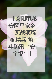 安阳市龙安区马家乡：实战演练砺精兵 筑牢防汛“安全堤”