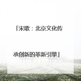 宋歌：北京文化传承创新的革新引擎