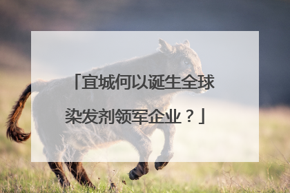 宜城何以诞生全球染发剂领军企业？
