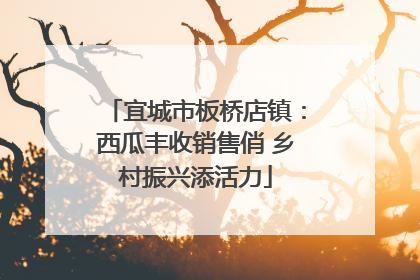 宜城市板桥店镇：西瓜丰收销售俏 乡村振兴添活力
