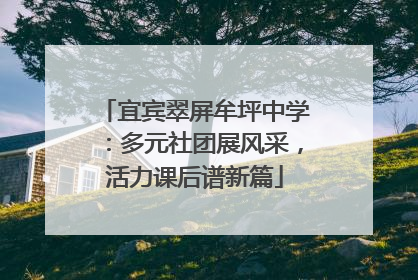 宜宾翠屏牟坪中学：多元社团展风采，活力课后谱新篇