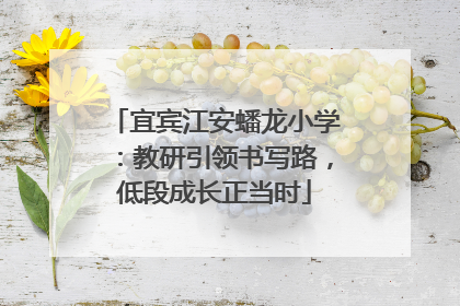 宜宾江安蟠龙小学：教研引领书写路，低段成长正当时