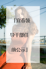 宜春领导干部任前公示