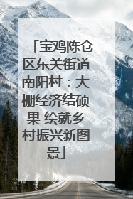 宝鸡陈仓区东关街道南阳村：大棚经济结硕果 绘就乡村振兴新图景
