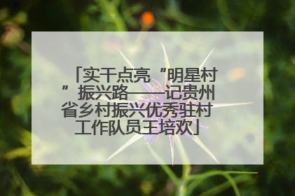 实干点亮“明星村”振兴路——记贵州省乡村振兴优秀驻村工作队员王培欢