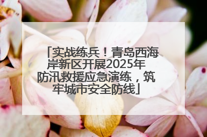 实战练兵！青岛西海岸新区开展2025年防汛救援应急演练，筑牢城市安全防线