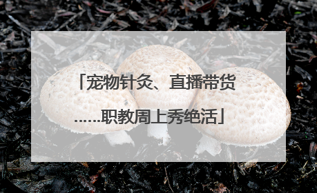 宠物针灸、直播带货……职教周上秀绝活