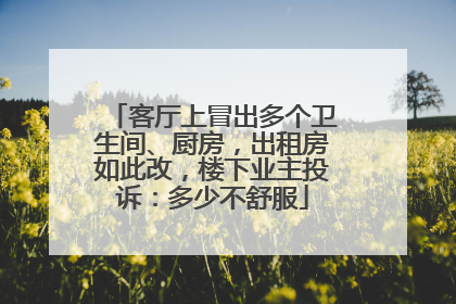 客厅上冒出多个卫生间、厨房，出租房如此改，楼下业主投诉：多少不舒服