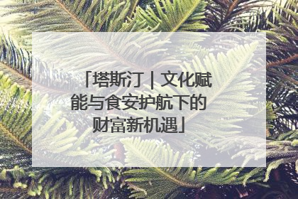 塔斯汀｜文化赋能与食安护航下的财富新机遇