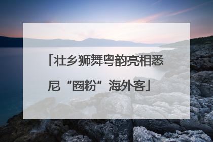 壮乡狮舞粤韵亮相悉尼“圈粉”海外客