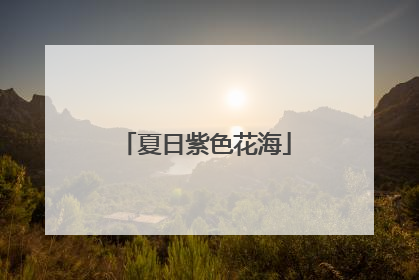 夏日紫色花海