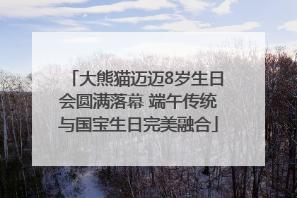 大熊猫迈迈8岁生日会圆满落幕 端午传统与国宝生日完美融合
