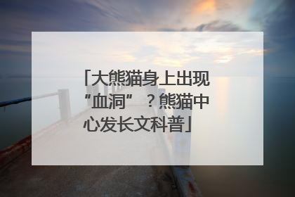 大熊猫身上出现“血洞”？熊猫中心发长文科普