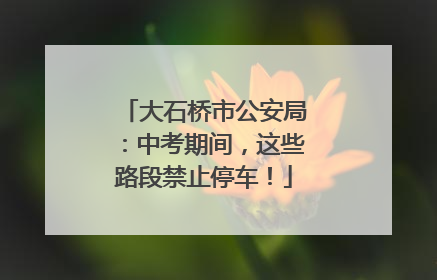 大石桥市公安局：中考期间，这些路段禁止停车！
