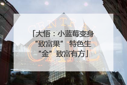 大悟：小蓝莓变身“致富果” 特色生“金”致富有方