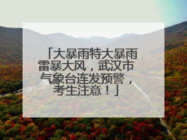 大暴雨特大暴雨雷暴大风，武汉市气象台连发预警，考生注意！