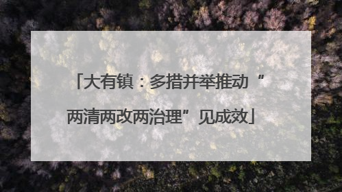 大有镇：多措并举推动“两清两改两治理”见成效