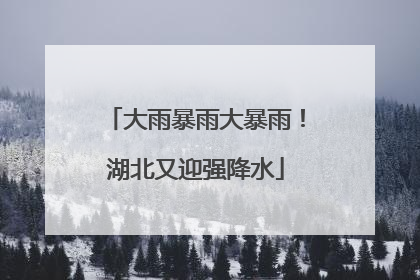 大雨暴雨大暴雨！湖北又迎强降水