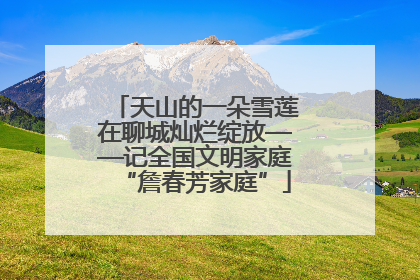 天山的一朵雪莲在聊城灿烂绽放——记全国文明家庭“詹春芳家庭”