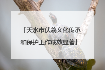 天水市伏羲文化传承和保护工作成效显著