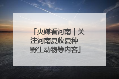 央媒看河南｜关注河南夏收夏种 野生动物等内容