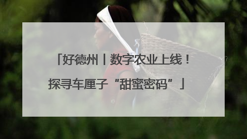 好德州丨数字农业上线！探寻车厘子“甜蜜密码”