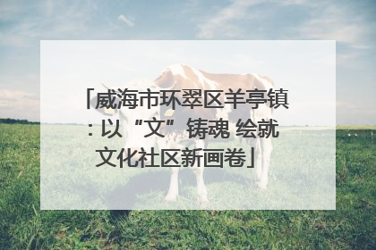 威海市环翠区羊亭镇:以“文”铸魂 绘就文化社区新画卷