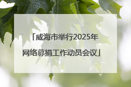 威海市举行2025年网络募捐工作动员会议