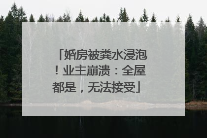婚房被粪水浸泡！业主崩溃：全屋都是，无法接受