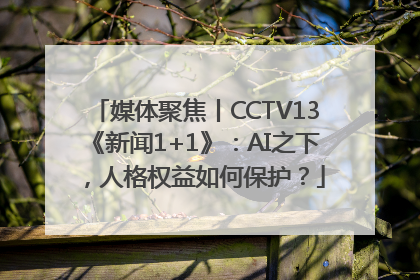 媒体聚焦丨CCTV13《新闻1+1》：AI之下，人格权益如何保护？