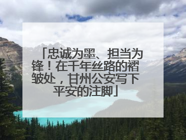 忠诚为墨、担当为锋！在千年丝路的褶皱处，甘州公安写下平安的注脚