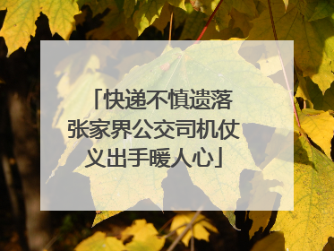 快递不慎遗落 张家界公交司机仗义出手暖人心