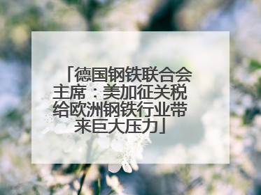 德国钢铁联合会主席：美加征关税给欧洲钢铁行业带来巨大压力