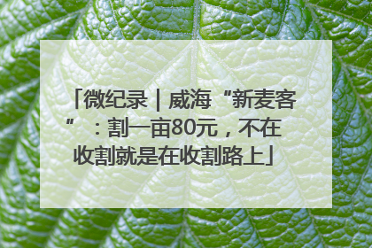 微纪录｜威海“新麦客”：割一亩80元，不在收割就是在收割路上