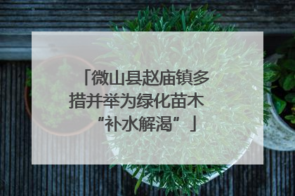 微山县赵庙镇多措并举为绿化苗木“补水解渴”