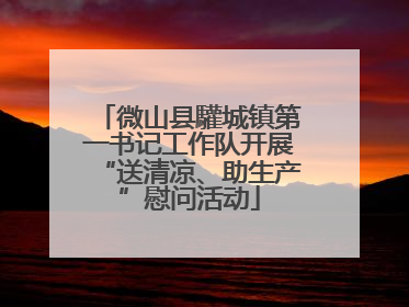微山县驩城镇第一书记工作队开展“送清凉、助生产”慰问活动