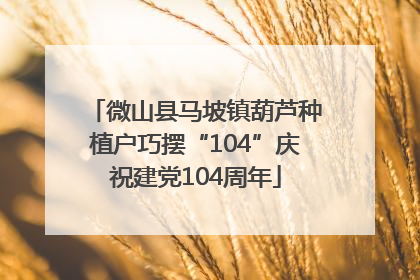 微山县马坡镇葫芦种植户巧摆“104”庆祝建党104周年