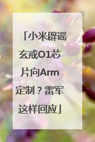 小米辟谣玄戒O1芯片向Arm定制？雷军这样回应