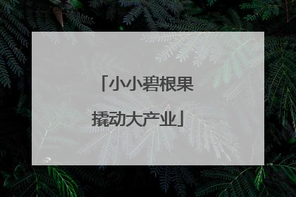 小小碧根果撬动大产业