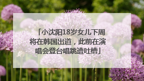 小沈阳18岁女儿下周将在韩国出道，此前在演唱会登台唱跳遭吐槽