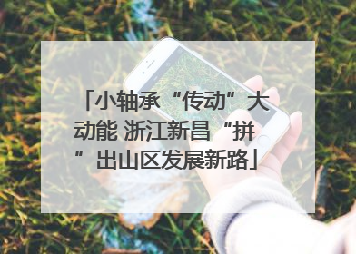 小轴承“传动”大动能 浙江新昌“拼”出山区发展新路