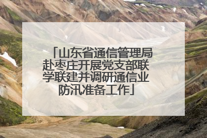 山东省通信管理局赴枣庄开展党支部联学联建并调研通信业防汛准备工作