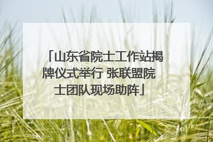 山东省院士工作站揭牌仪式举行 张联盟院士团队现场助阵