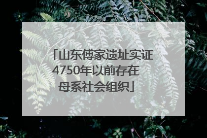山东傅家遗址实证4750年以前存在母系社会组织