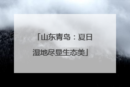 山东青岛：夏日湿地尽显生态美