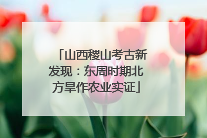 山西稷山考古新发现：东周时期北方旱作农业实证