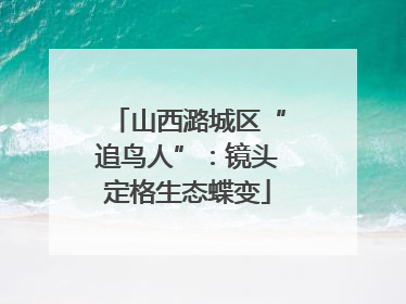 山西潞城区“追鸟人”：镜头定格生态蝶变
