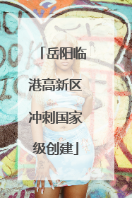 岳阳临港高新区冲刺国家级创建